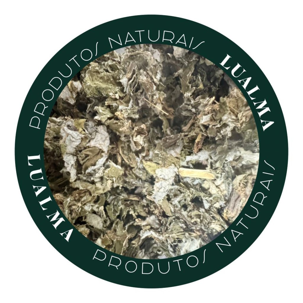 BARDANA (100g)