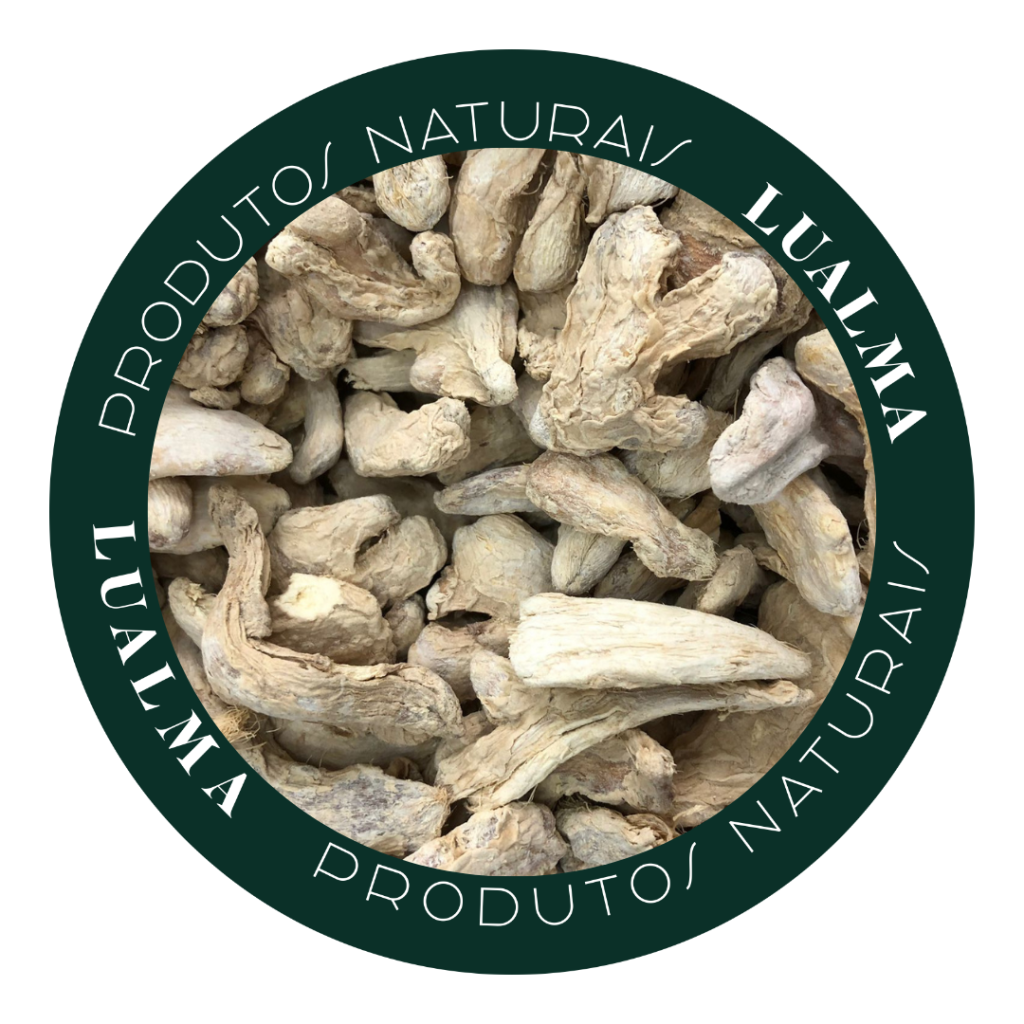 GENGIBRE DESIDRATADO(100g)