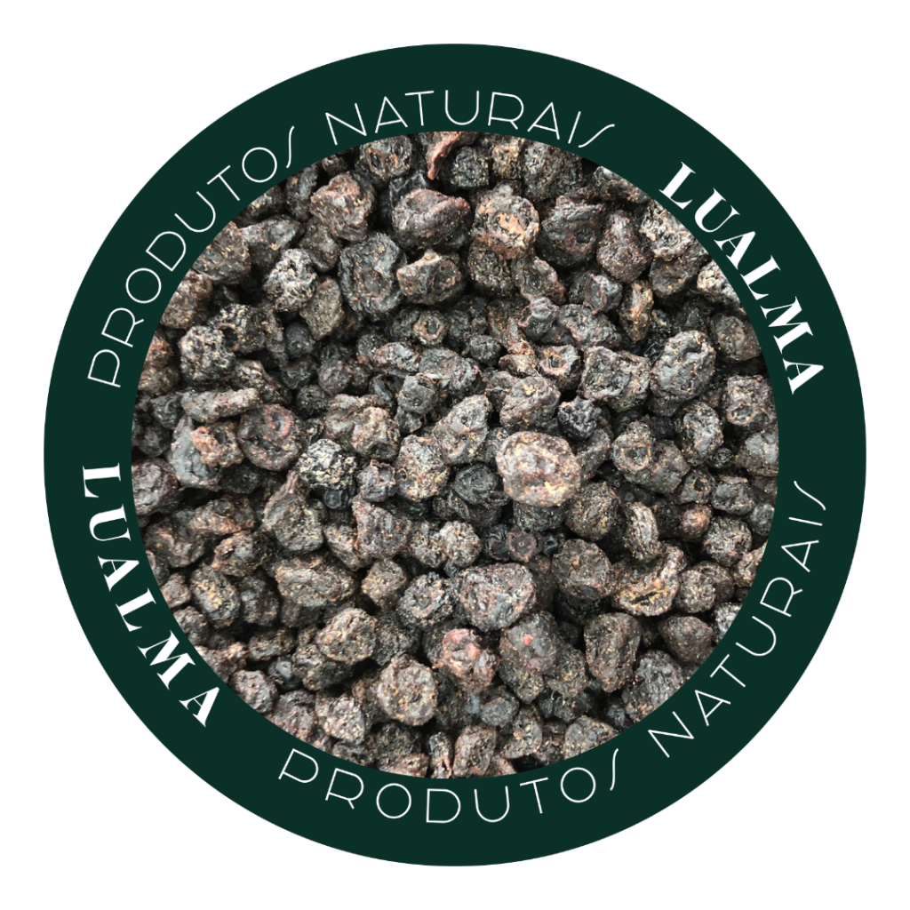 BLUEBERRY (MIRTILO) -(100g)