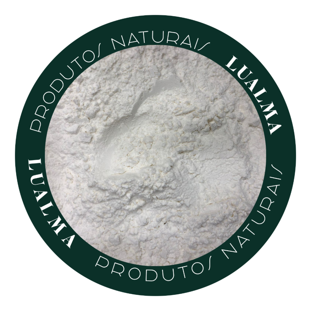 FARINHA ESPECIAL SEM GLÚTEN (100g)