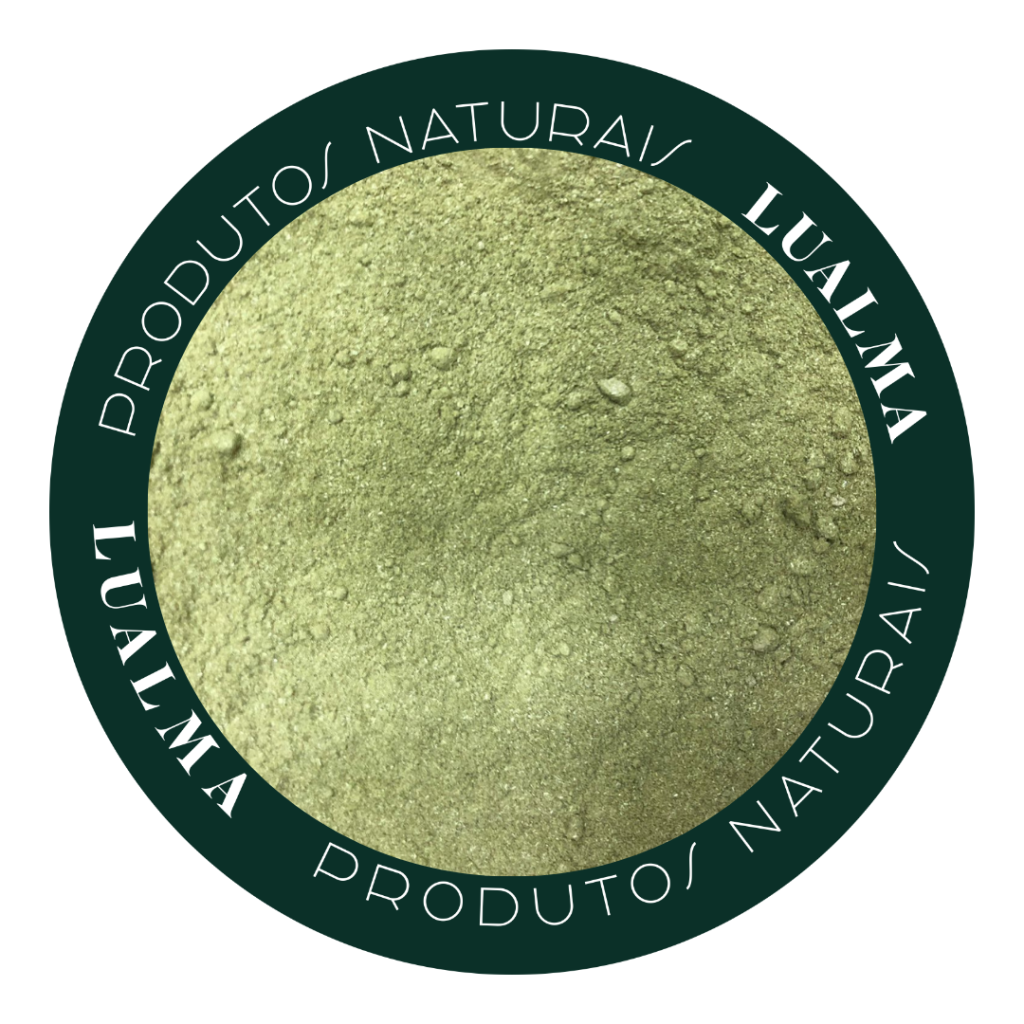 MORINGA EM PÓ  (100g)