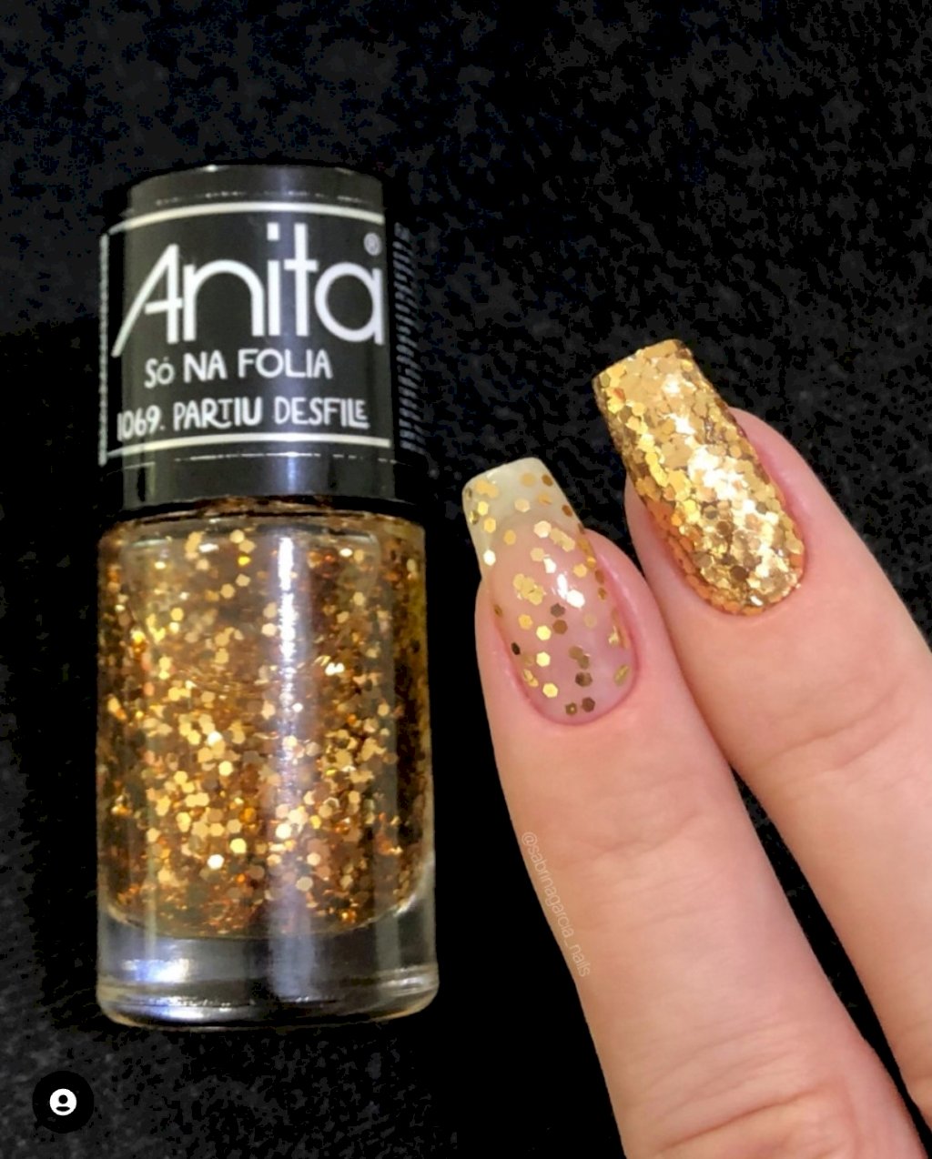 Anita partiu desfile 