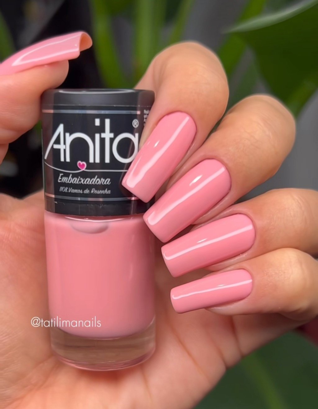 Anita vamos de resenha