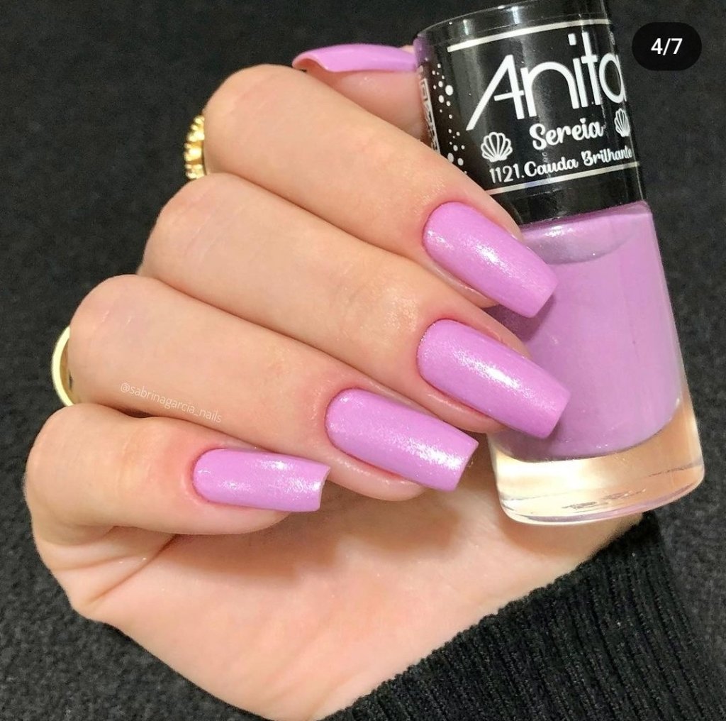 Anita cauda brilhante 