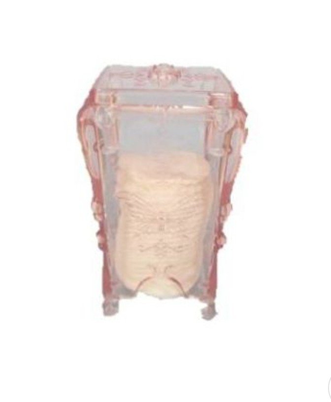 Porta algodao acrílico rosa