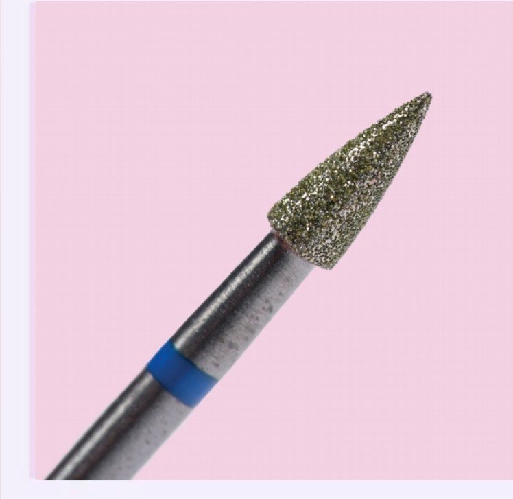 Broca forms cuticula cone M