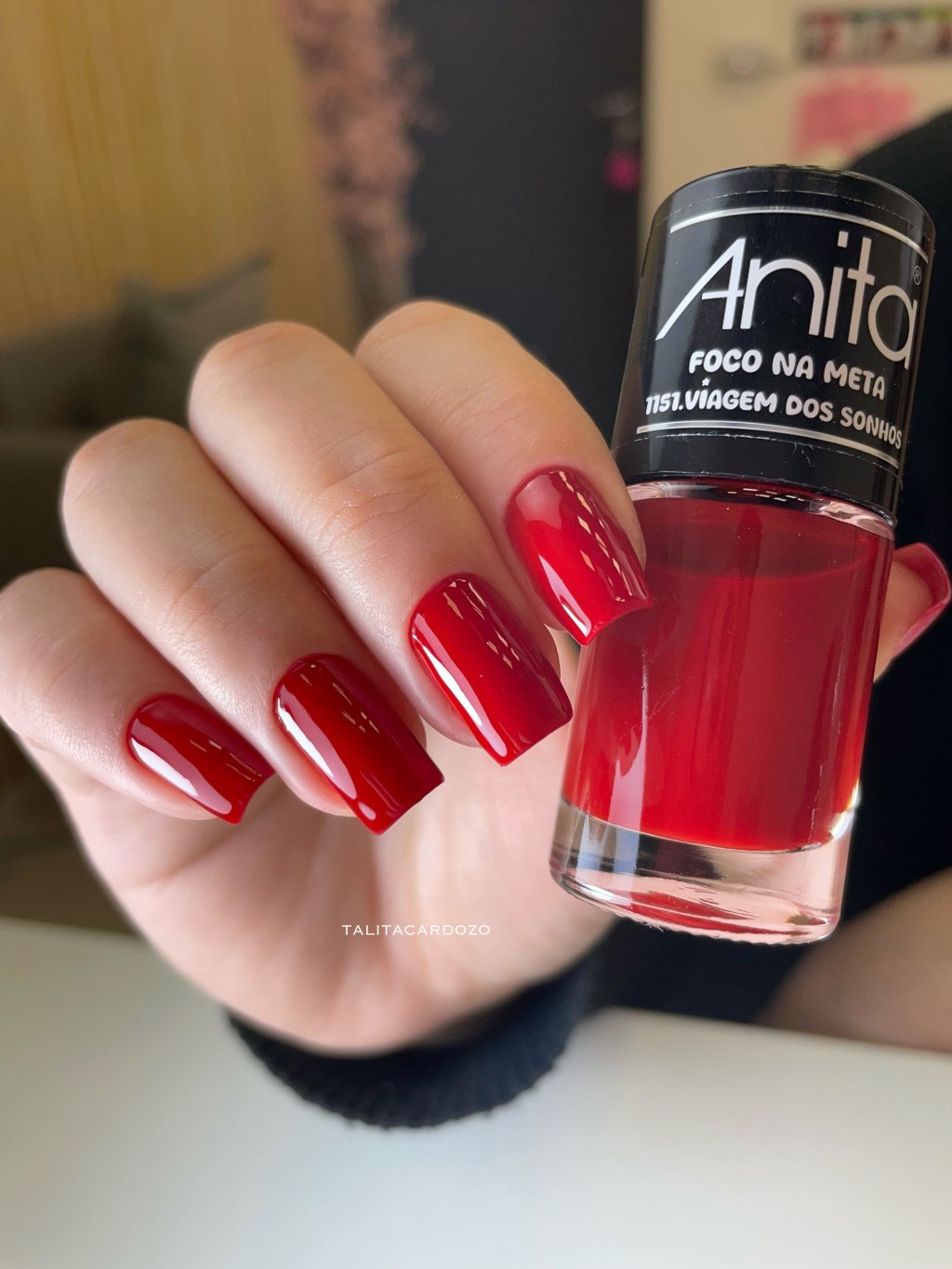 anita viagem dos sonhos