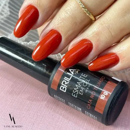 ESMALTE BRILIA GATA NO TELHADO