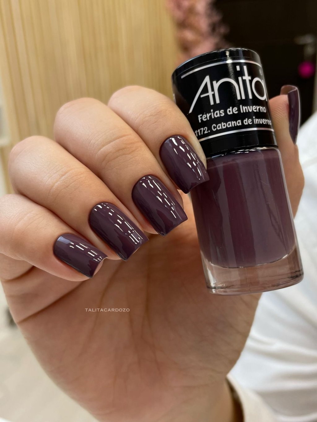 anita cabana de inverno