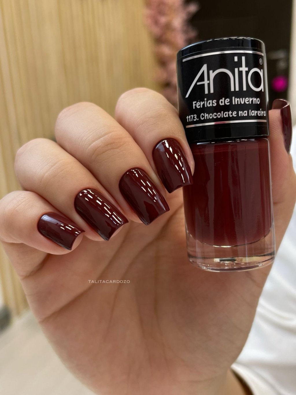 anita chocolate na lareira