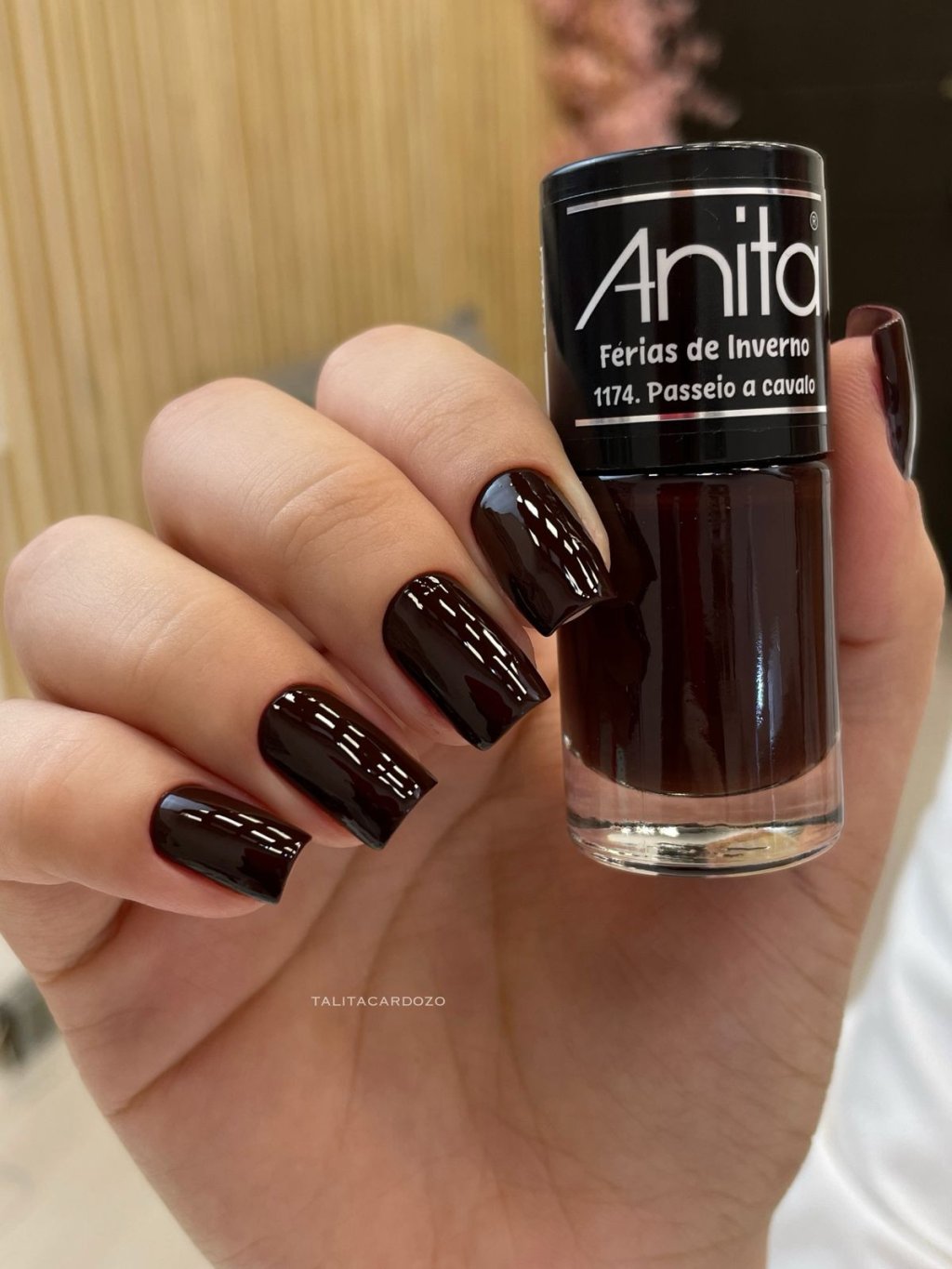 anita passeio a cavalo