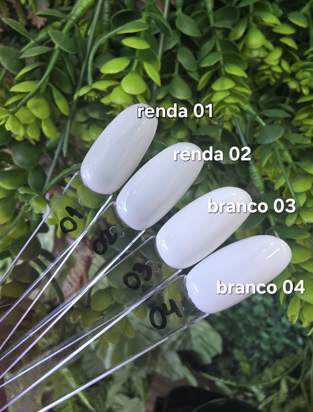 Coleção branquinhos dafu (renda , Branco)