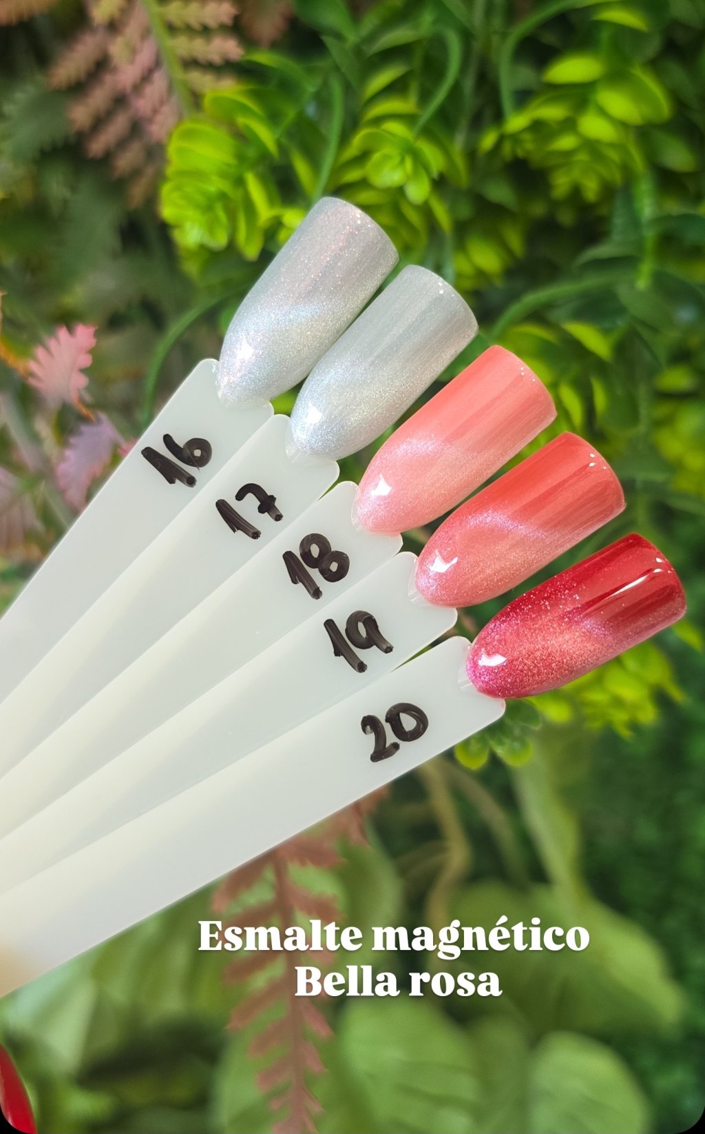 Esmalte magnético Bella rosa 