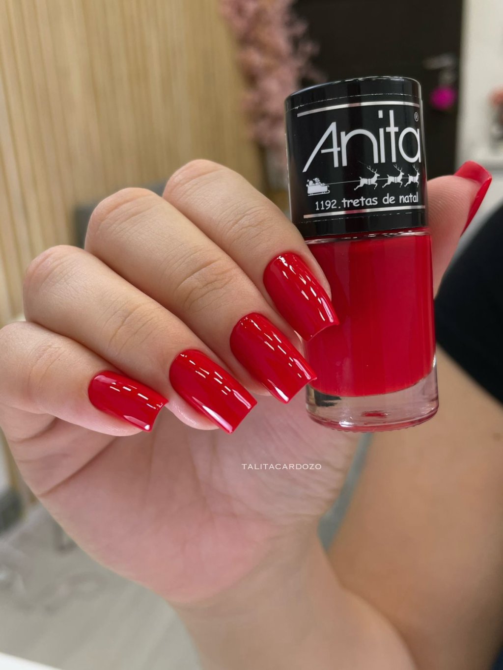 anita tretas de natal