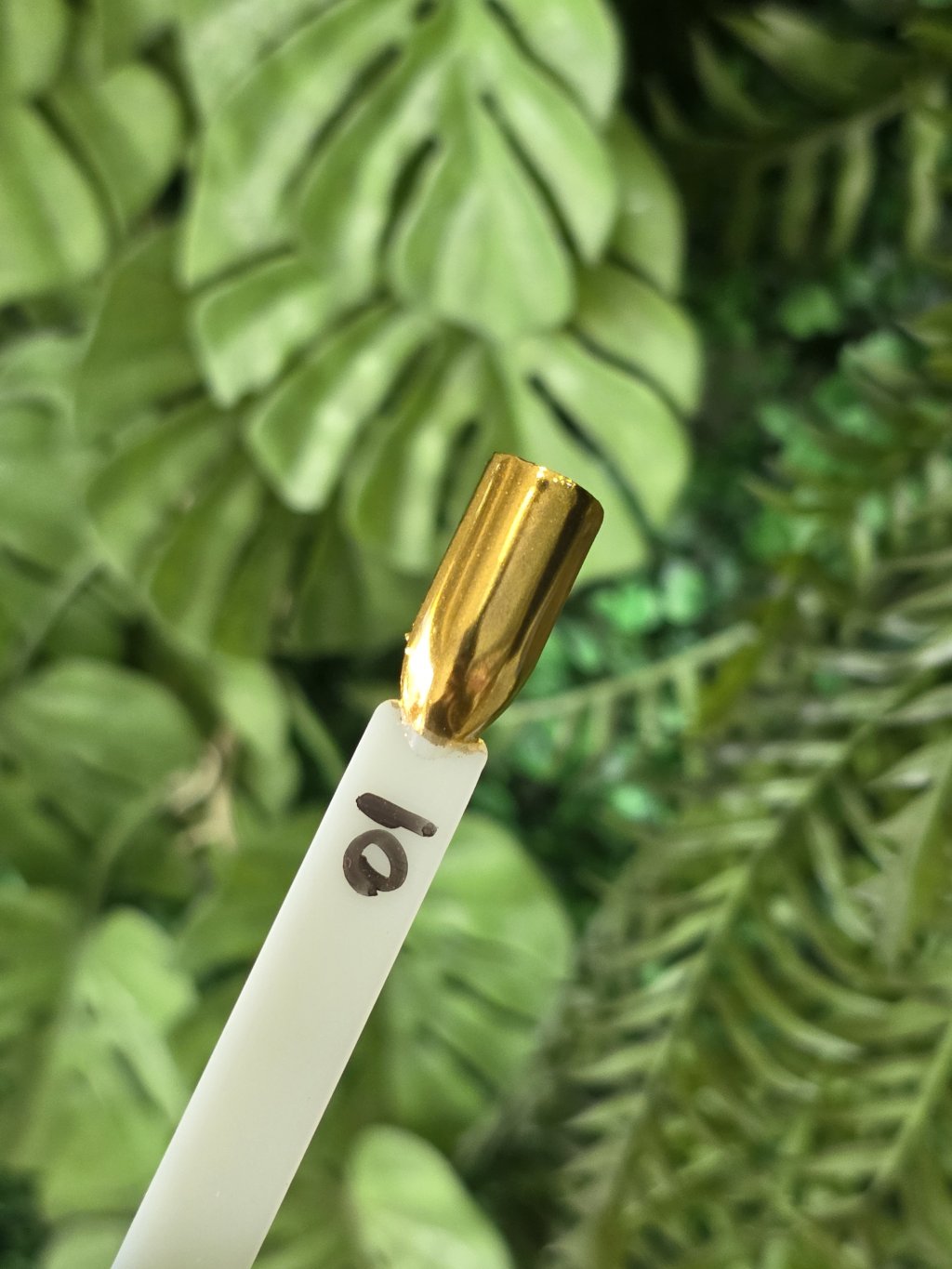 Pó cromado dourado Bella Rosa 01