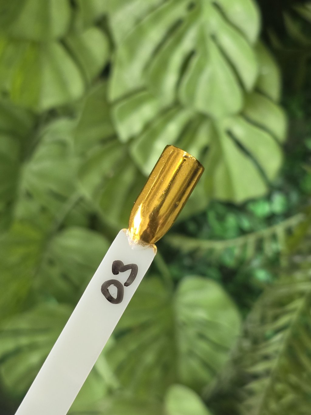 Pó cromado dourado Bella Rosa 03