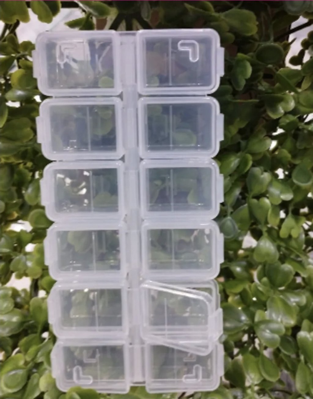 Porta pedrarias transparente 