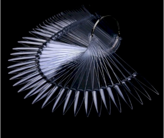 Mostruario estileto transparente com 50