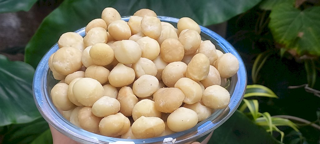 MACADÂMIA C/ SAL 100g