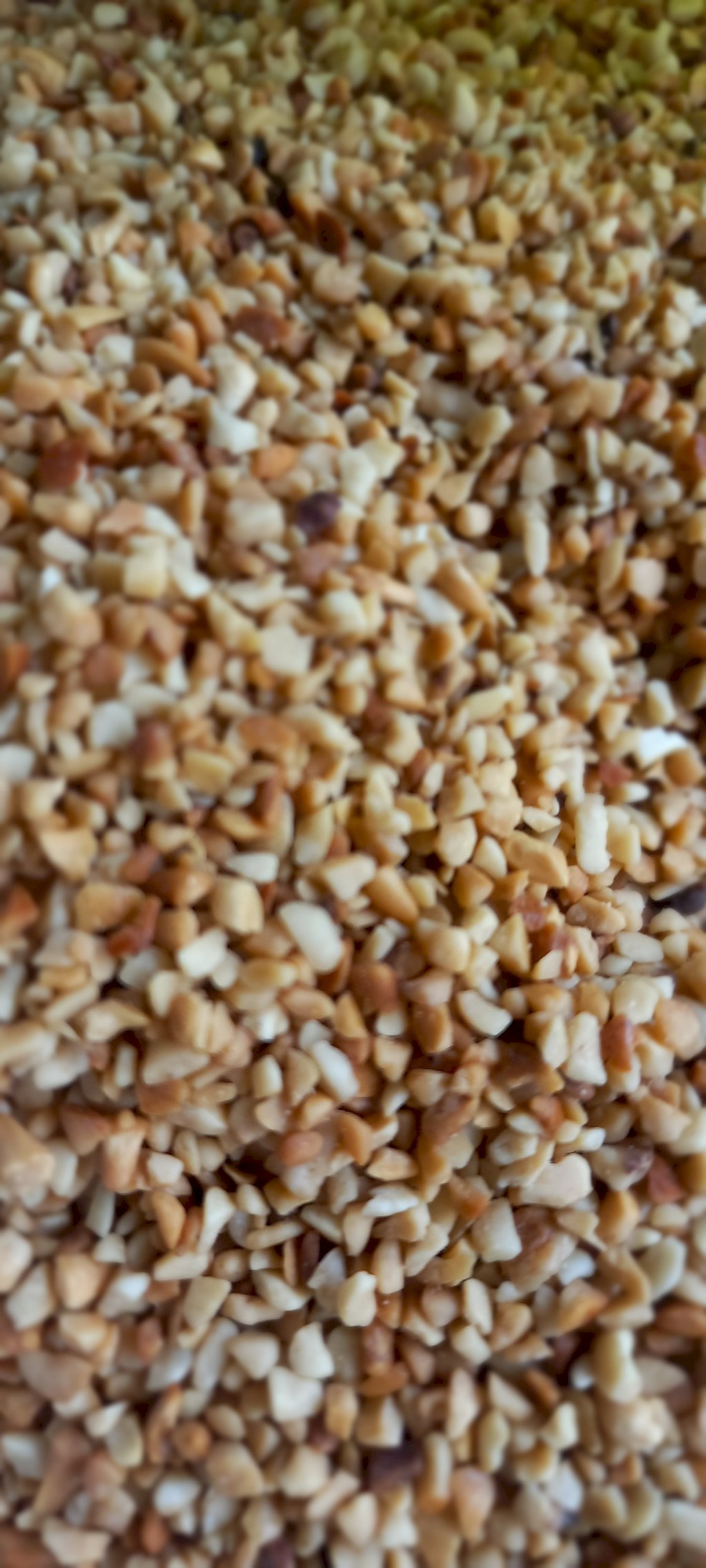 XERÉM DE CASTANHA DE CAJU 100g