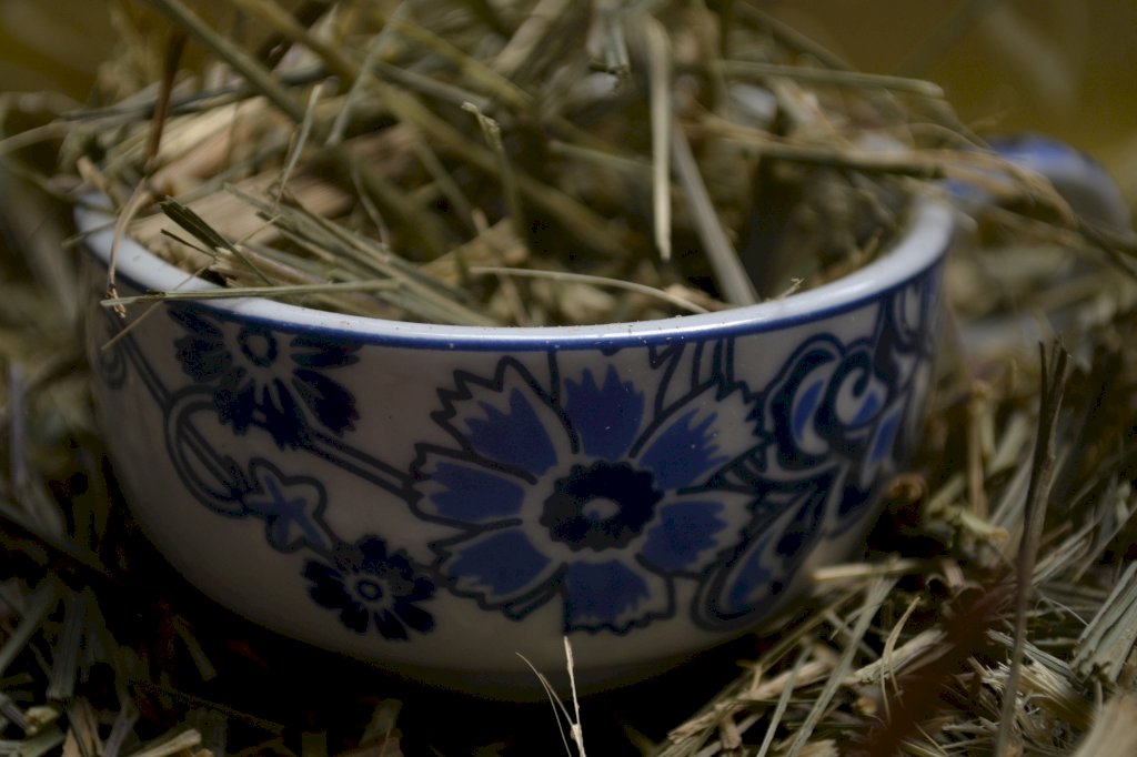 Capim Limão | Cidreira 100g