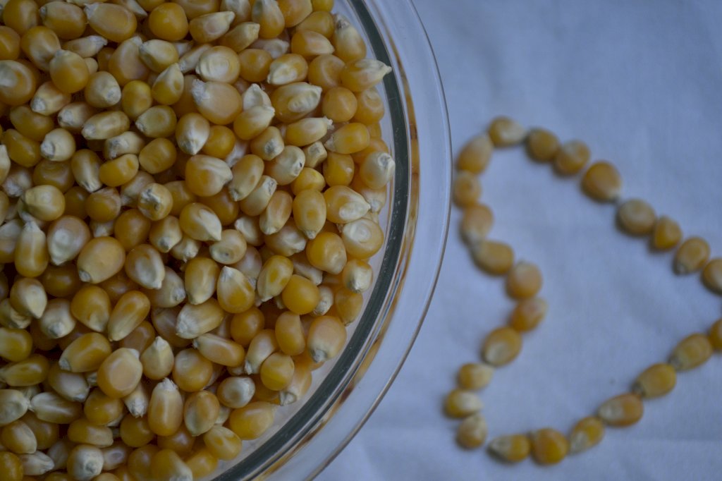 MILHO DE PIPOCA 100g