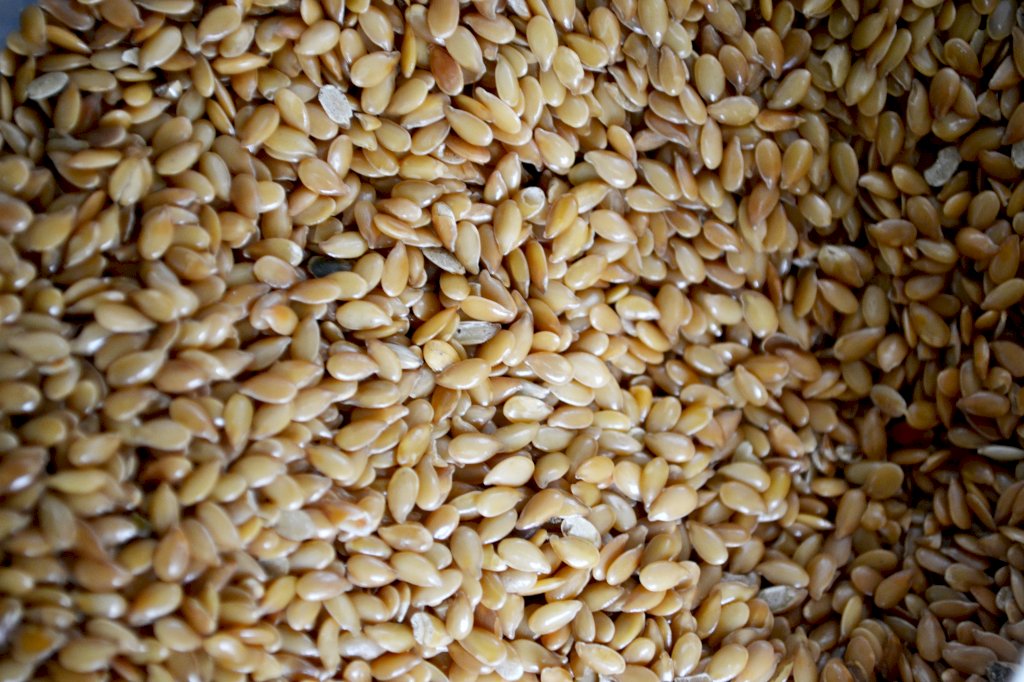 SEMENTE DE LINHAÇA DOURADA