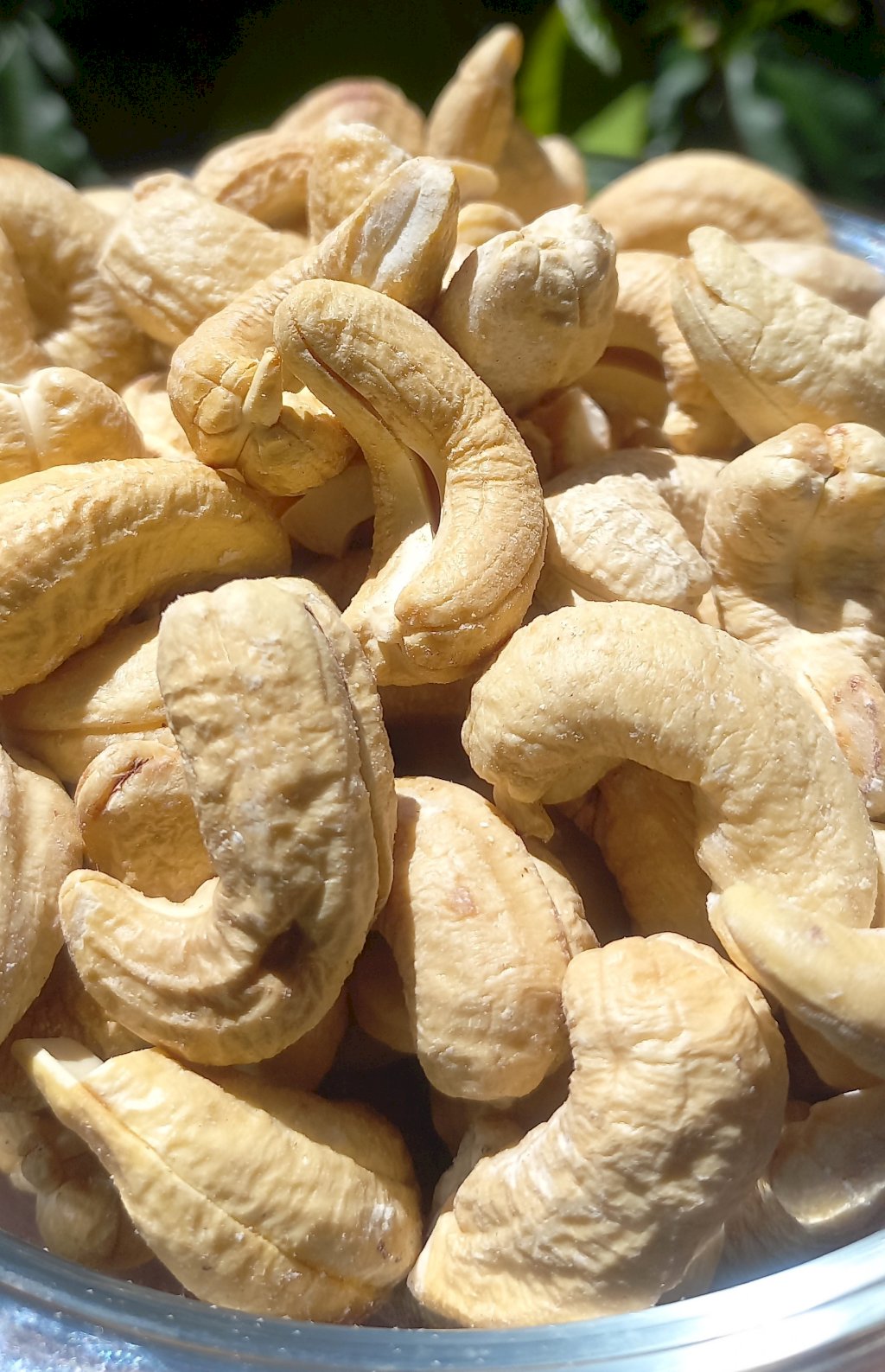 CASTANHA DE CAJU SEM SAL W1 (TORRADA) 100g