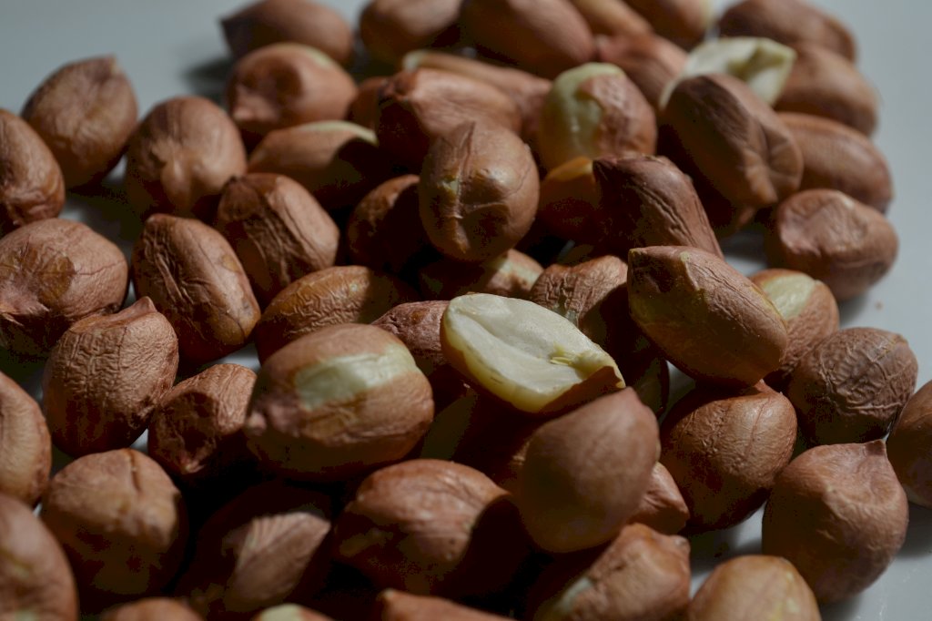 AMENDOIM CRU | RUNNER 100g