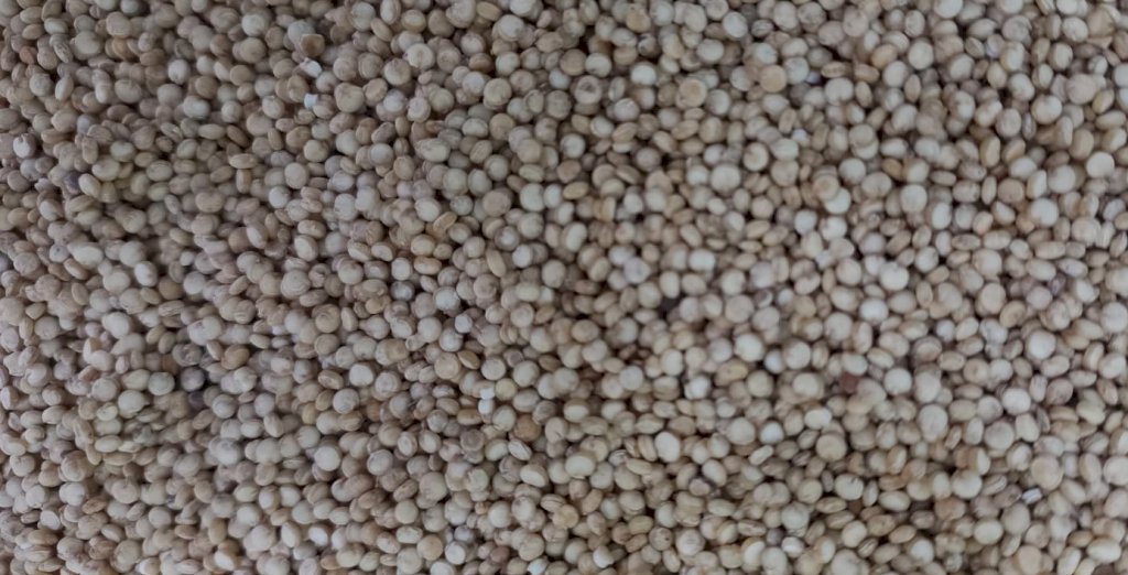QUINOA EM GRÃO BRANCO