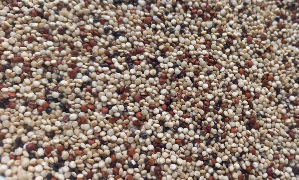 QUINOA EM GRÃO COLORIDA | 100g