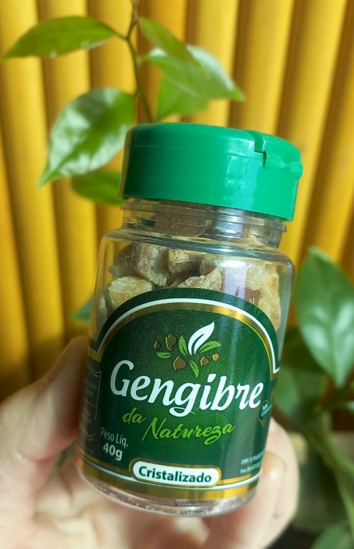 GENGIBRE CRISTALIZADO 40G