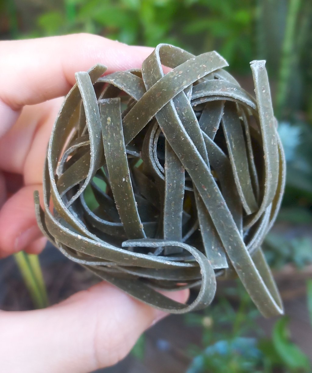 MACARRÃO INTEGRAL DE ESPINAFRE NINHO