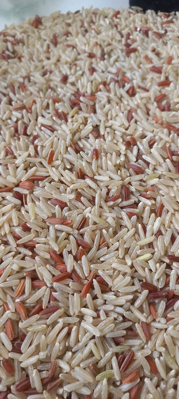 ARROZ INTEGRAL AGULHA COM VERMELHO 1kg