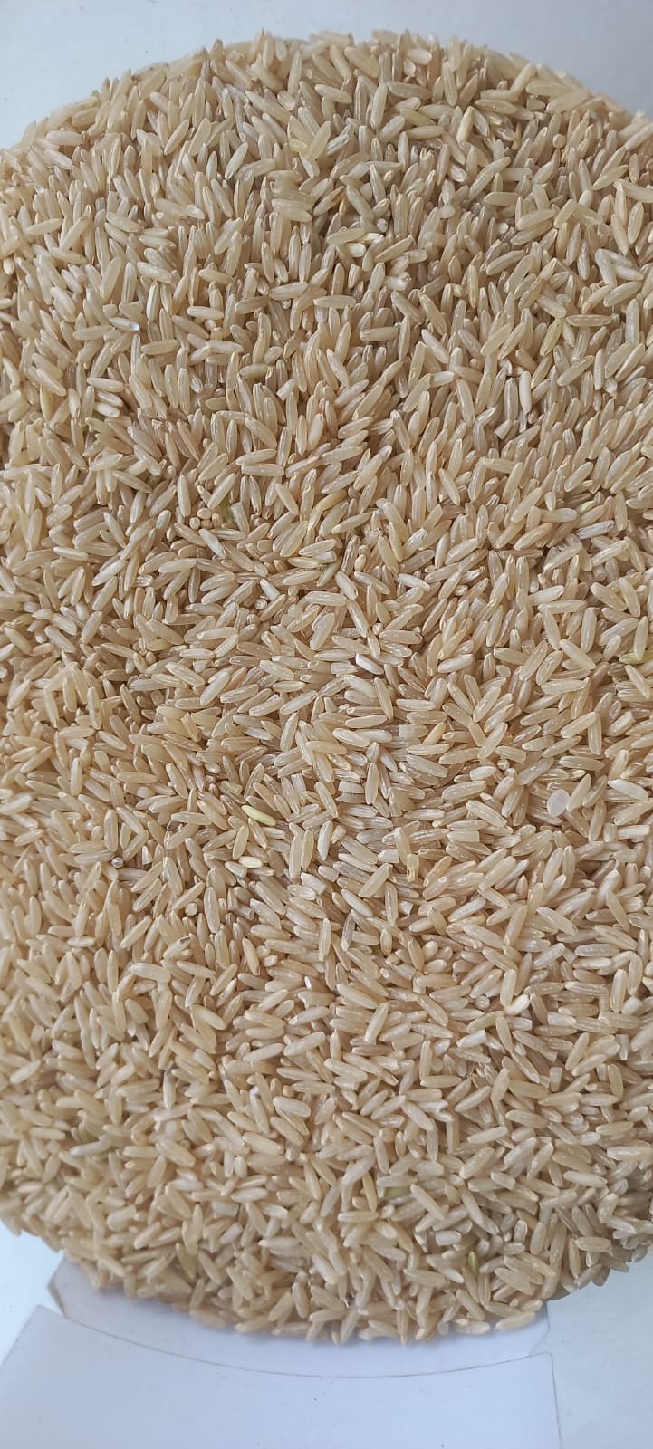 Arroz Integral Agulha | 100g