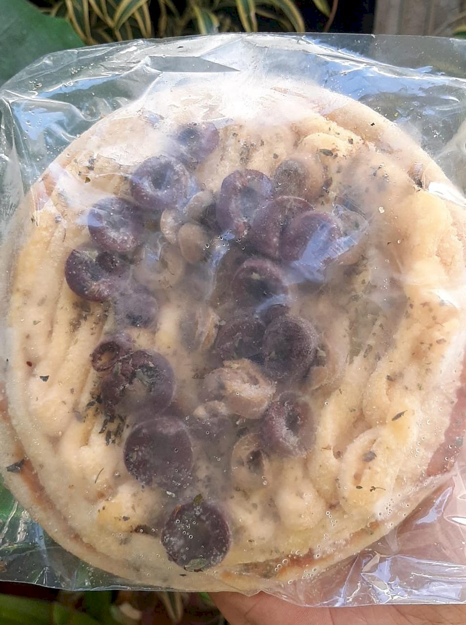 Pizza Broto Oliva - Lar Vegan