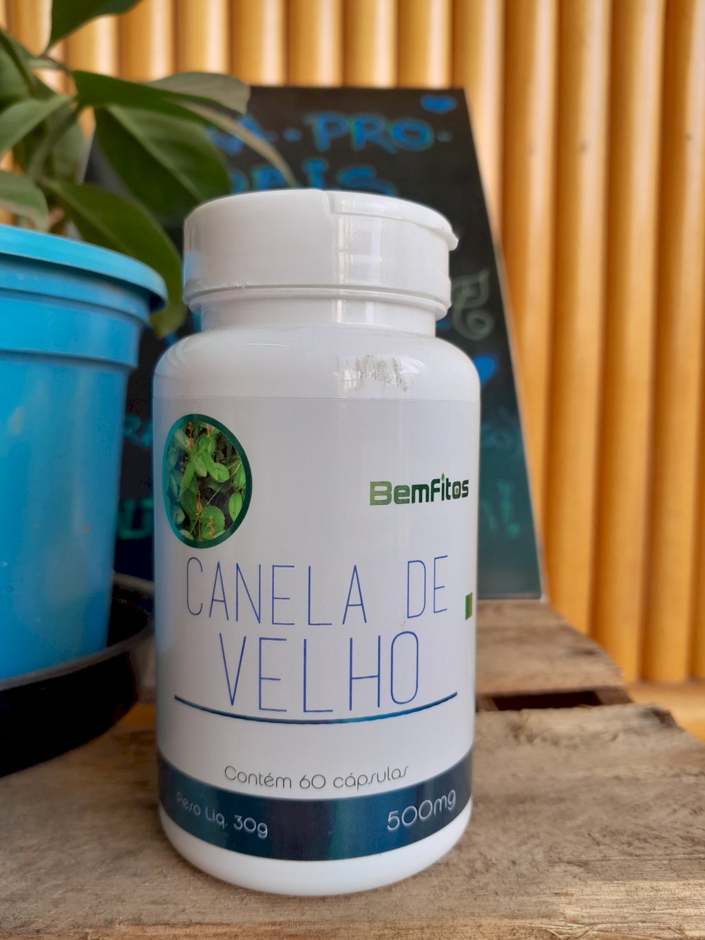 CANELA DE VELHO - CONTÉM 60 CÁPSULAS DE 500MG