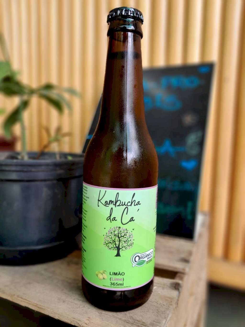 KOMBUCHA ORGÂNICA DE LIMÃO | Kombucha da Cá 365ML