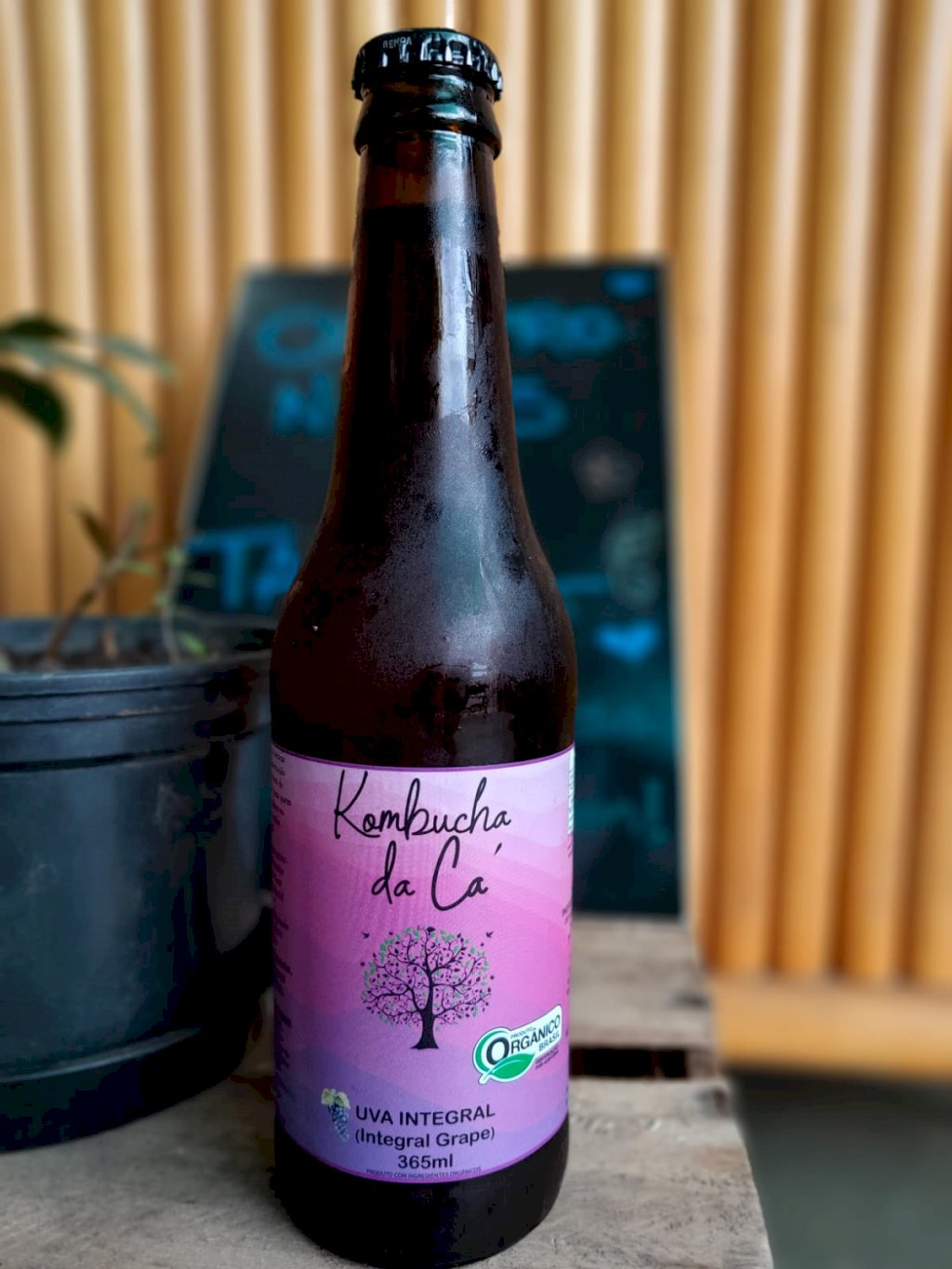 KOMBUCHA ORGÂNICA DE UVA INTEGRAL | Kombucha da Cá 365ml
