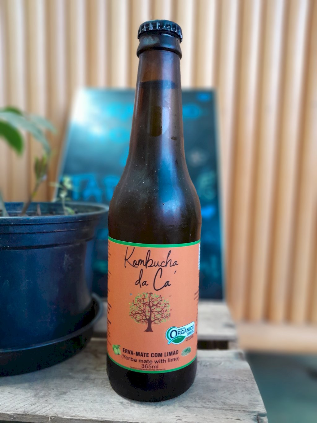 KOMBUCHA ORGÂNICA DE ERVA-MATE COM LIMÃO 365ML