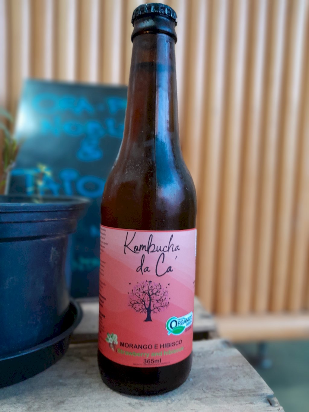 KOMBUCHA ORGÂNICA DE MORANGO E HIBISCO | Kombucha da Cá 365ML