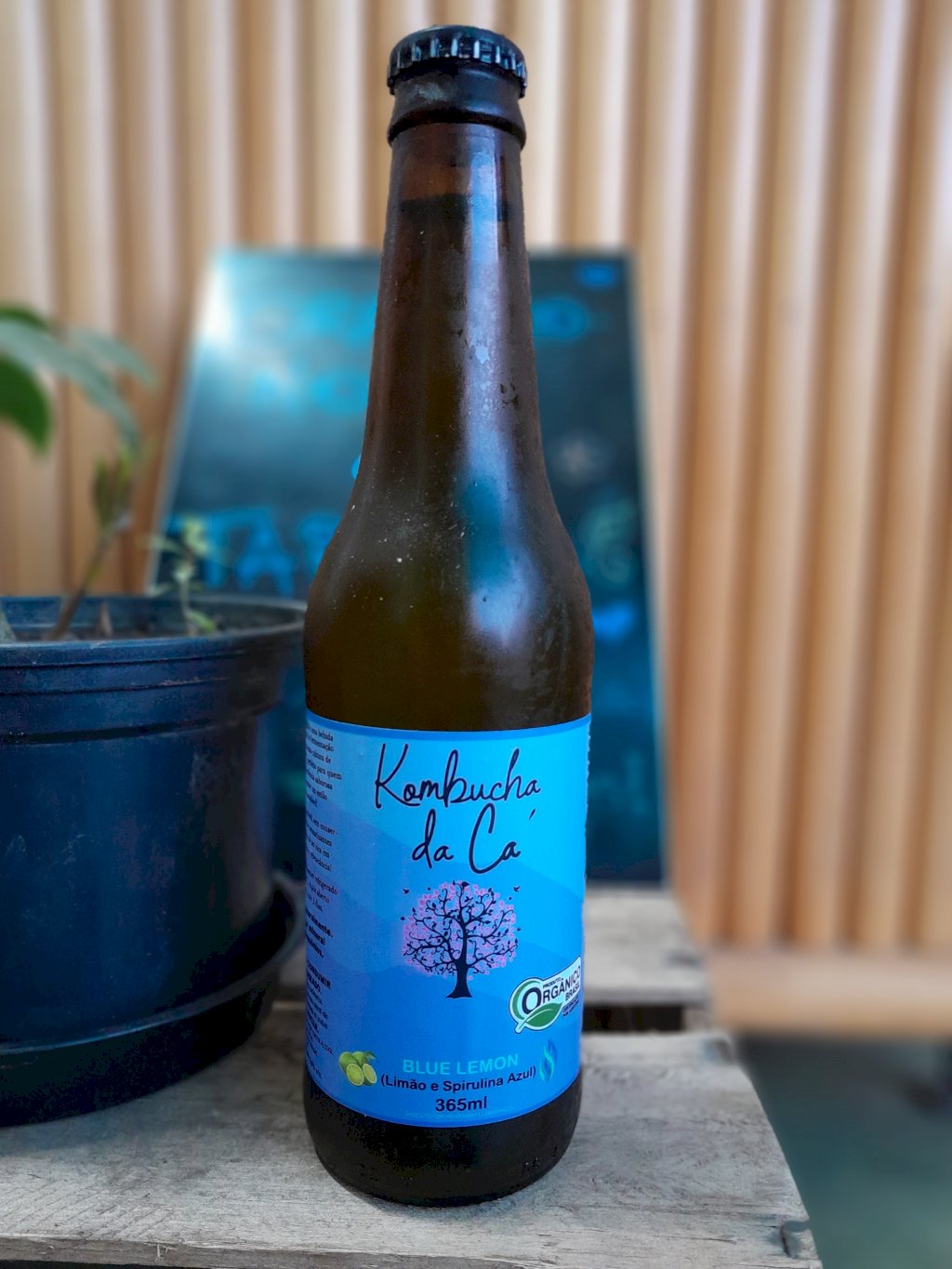 KOMBUCHA ORGÂNICA BLUE LEMON (SPIRULINA AZUL E LIMÃO) 365ML