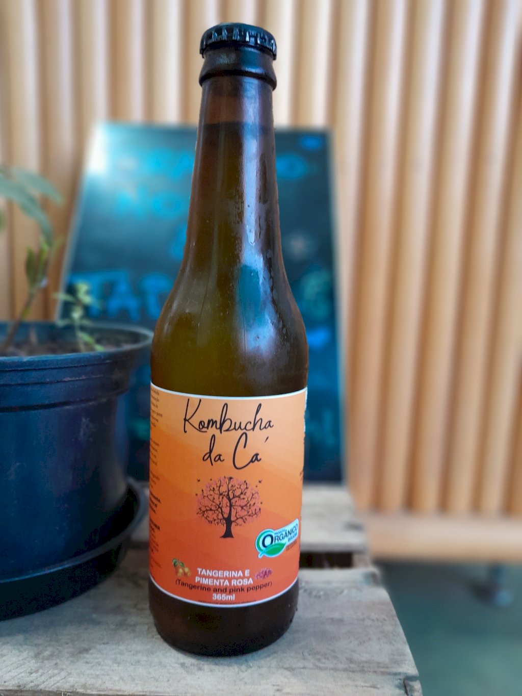 KOMBUCHA ORGÂNICA DE TANGERINA E PIMENTA ROSA | Kombucha da Cá 365ml