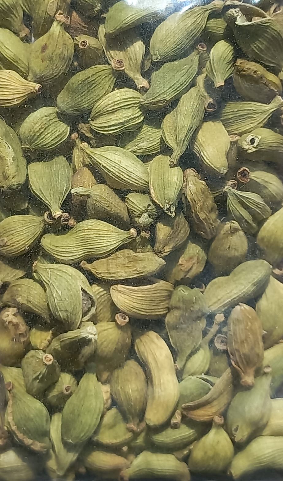 Cardamomo em Grão (10g)