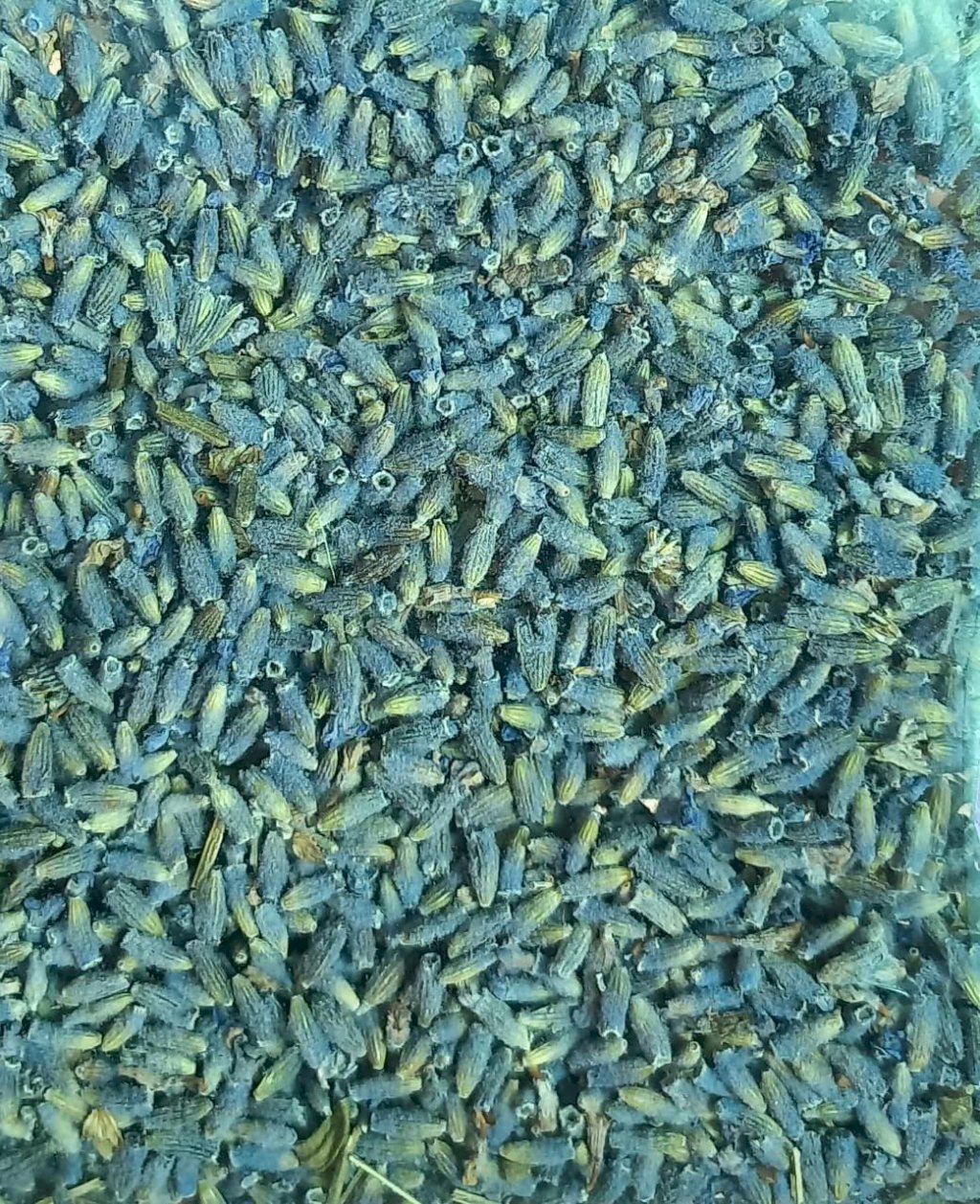 ALFAZEMA EXTRA AZUL (PACOTE APROXIMADAMENTE DE 10 GRAMAS)