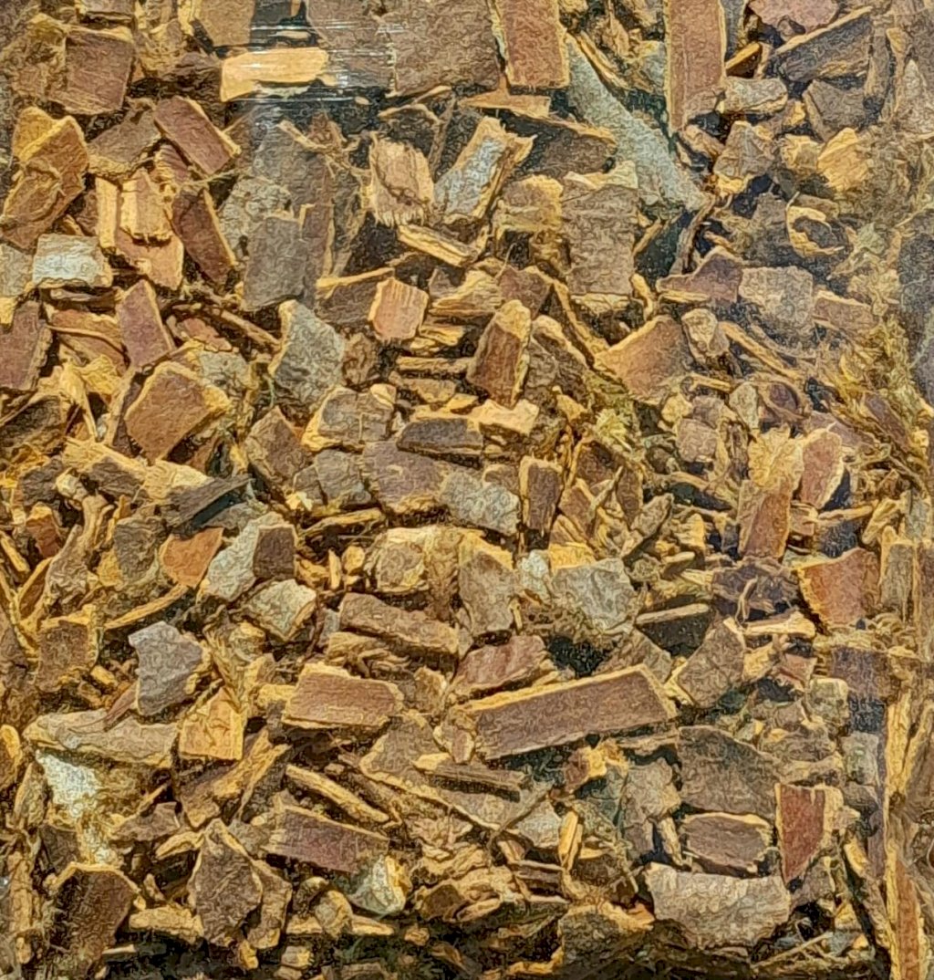 CÁSCARA SAGRADA (50G)