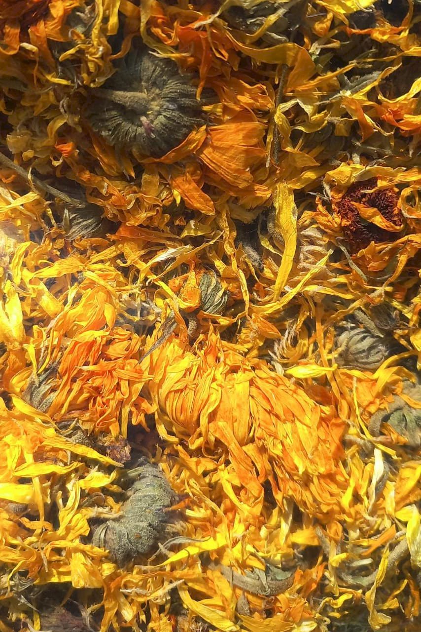 CALÊNDULA PROMOÇÃO (50G)