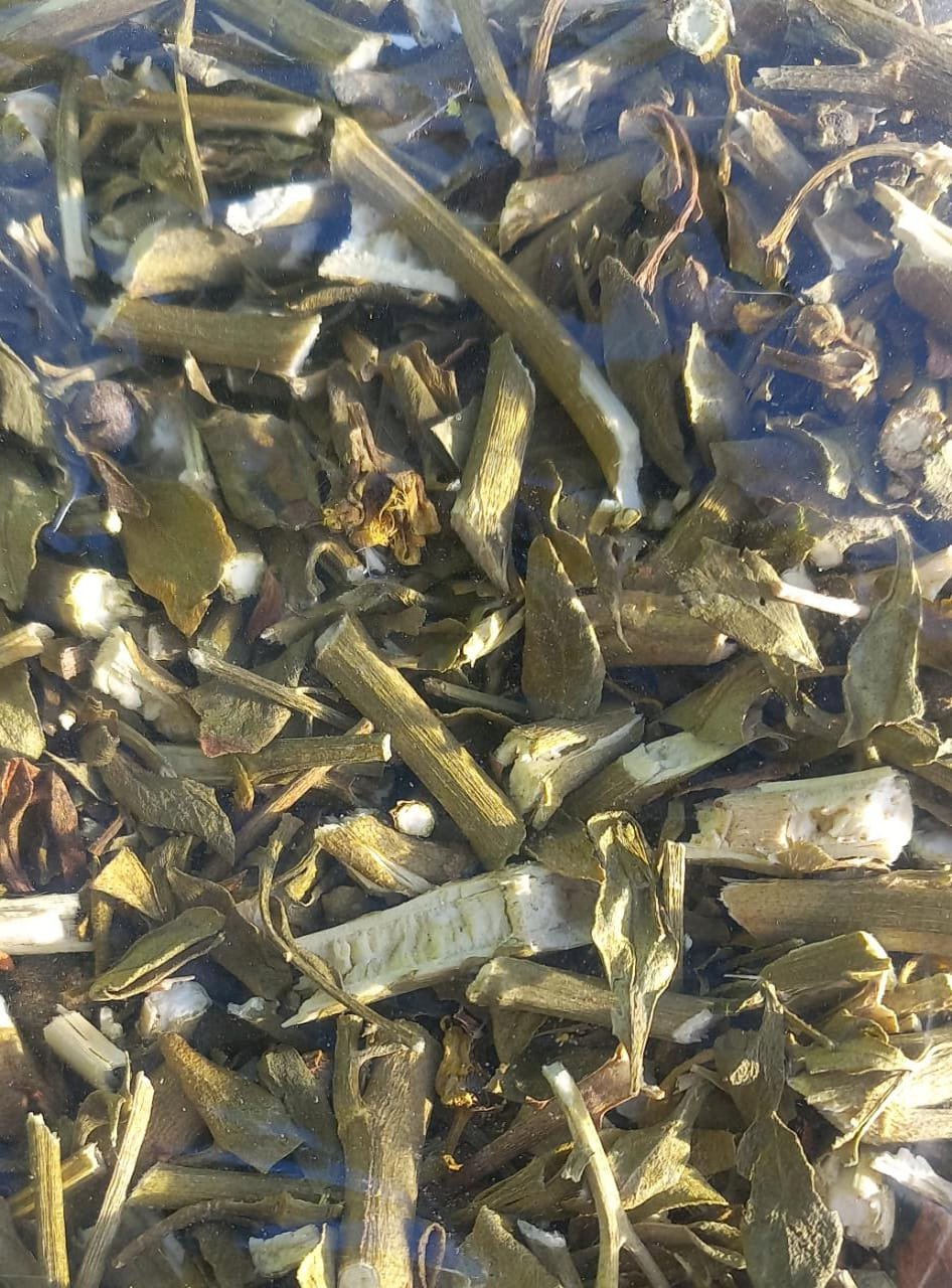 Chá de Arruda | Ruta graveolens 50g