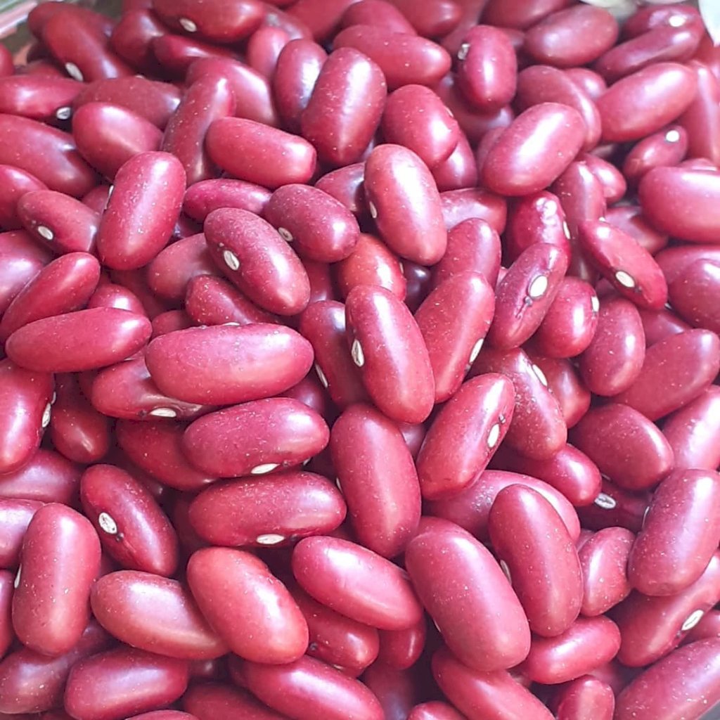 FEIJÃO VERMELHO 500g