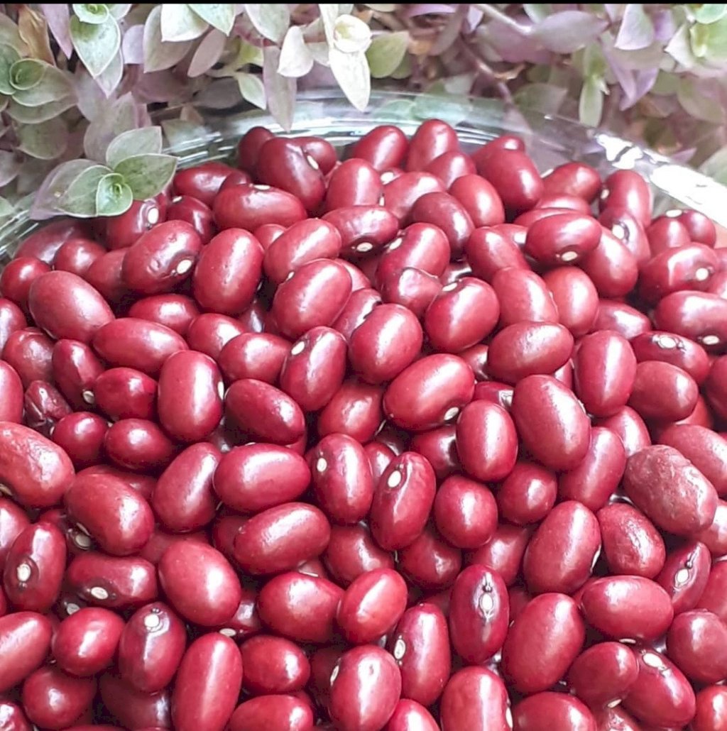 FEIJÃO ROXÃO (1KG)